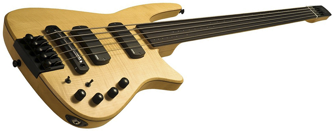 ns design cr5 radius fretless bass guitar